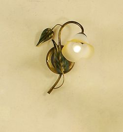 Bewerben Sie Miranda Onli Series