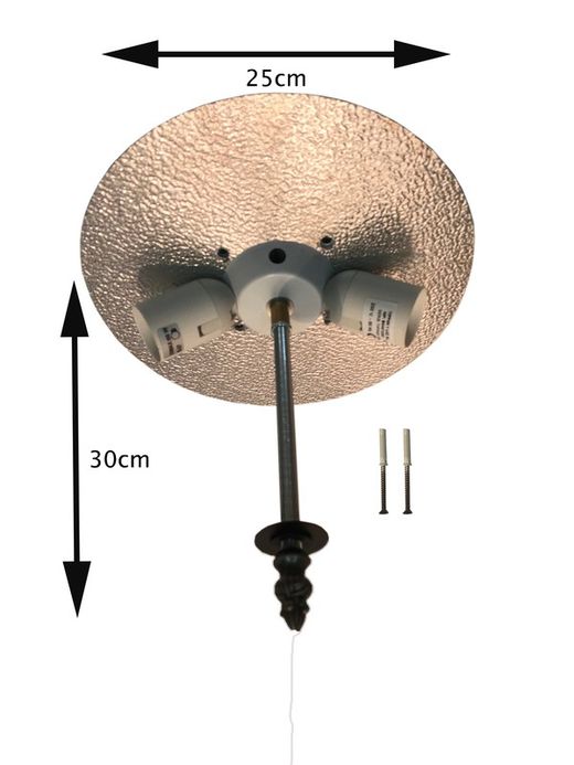 Ceiling light installation 2 lights