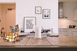 Tiffany Tiffan Cat Lamp and Light