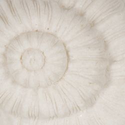 Sandstone snail table lamp 14.80 x 10.20 x 10.30 cm