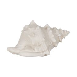 Sandstone shell table lamp 18 x 11.80 x 11 cm