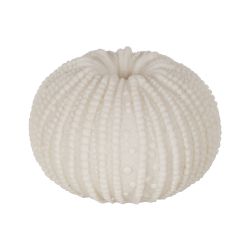 Sandstone hedgehog table lamp 12.80 x 12.80 x 8.30 cm