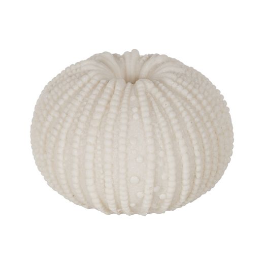 Sandstone hedgehog table lamp 12.80 x 12.80 x 8.30 cm