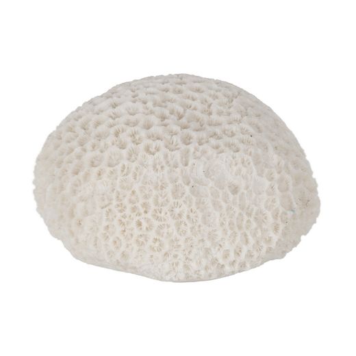 Sandstone sponge table lamp 13.70 x 13 x 9 cm