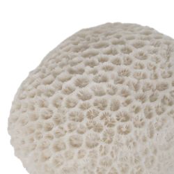 Sandstone sponge table lamp 13.70 x 13 x 9 cm